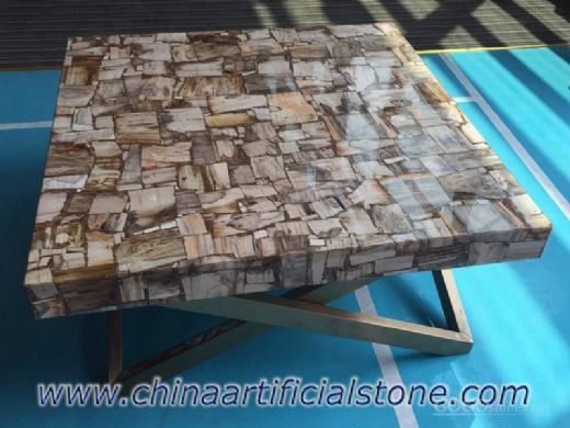 Petrified Wood Side Coffee Table Tops
