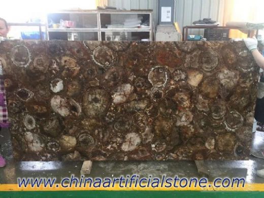 Petrified Wood Gemstone Semi Precious Stone Cross Cut Slabs