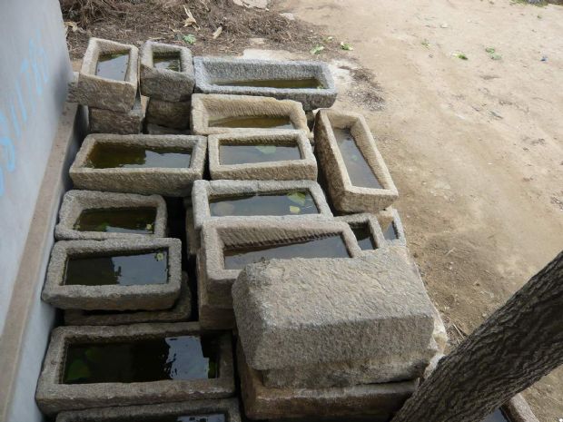 antique stone troughs