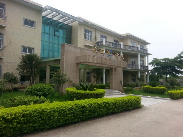 a scence of my company