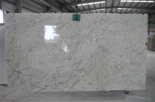 Andromeda/Sri Lanka white