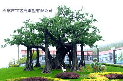 banyan sculpture1(picture)