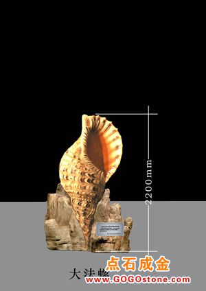 shell sculpture(picture)