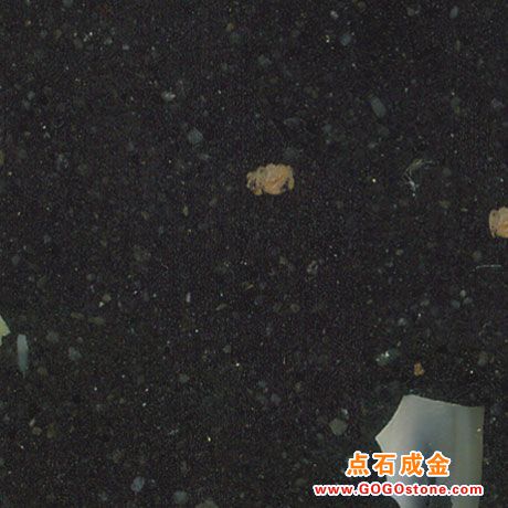 To Sell Conch Series 8RBAD28(picture)