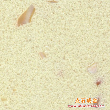 Conch Series 8RB4DJ2