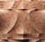 3D roso verona red marble feature wall tile