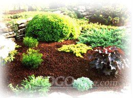 lava rock for garden landscaping