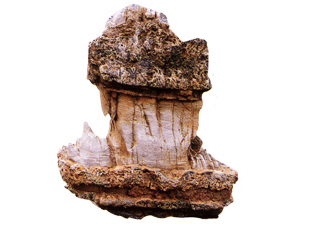 To sell gardens stone(picture)