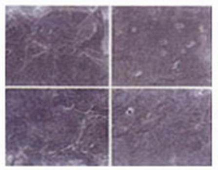 To sell FloorWall2(picture)