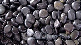 JSC-PB002  pebble stone
