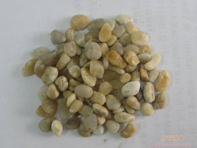 To Sell yellow pebble stone(picture)