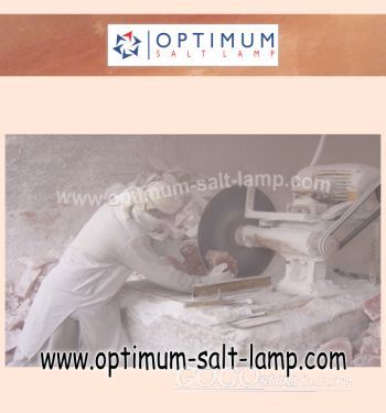 Optimum Salt manufactory