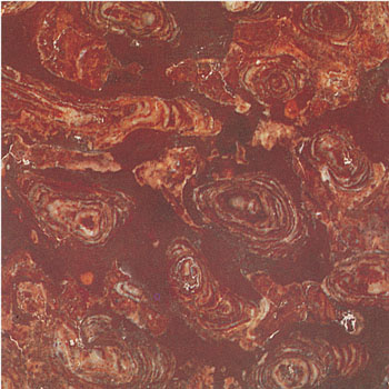 To sell marbles SXM016(picture)