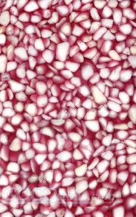 To Sell artificial Cobblestone Panel