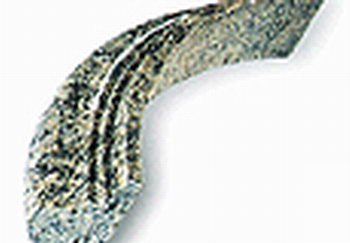 To sell Strip FS-001(picture)