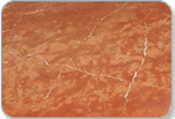 To sell Rosa Alicante(picture)