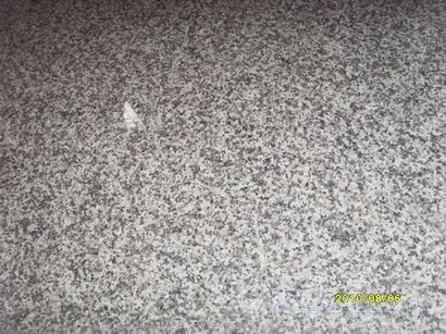 G623 Polished Granite Slabs