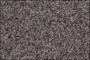 To sell Arabian Black(G654)(picture)